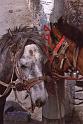 WT 1000 187-07 Nepal